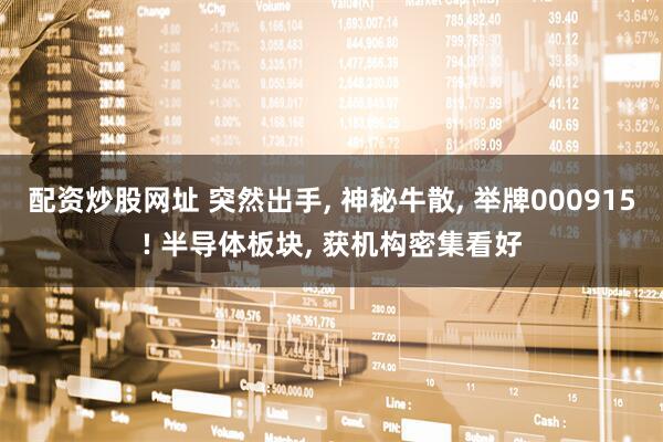 配资炒股网址 突然出手, 神秘牛散, 举牌000915! 半导体板块, 获机构密集看好